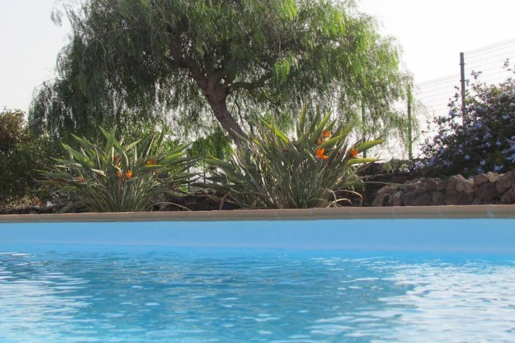 Heated & Shared Pool Villa Matriana 36B, North Shore Villas Ла-Олива Экстерьер фото